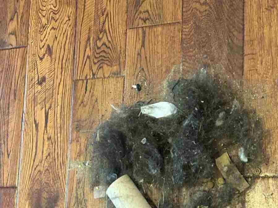 Amezquita Cleaning Llc