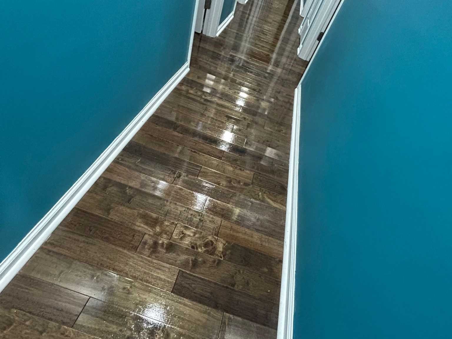 Amezquita Cleaning Llc