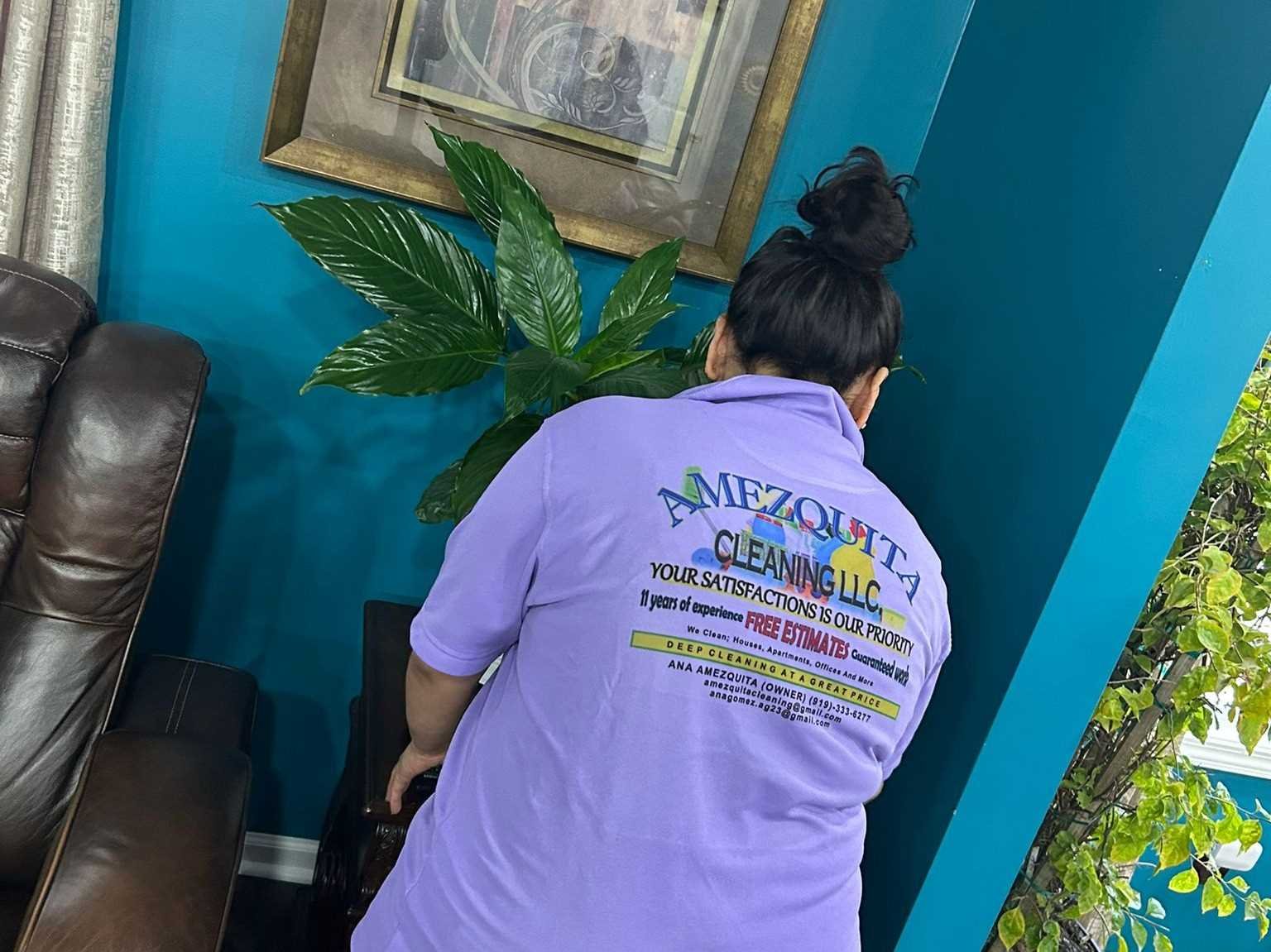 Amezquita Cleaning Llc