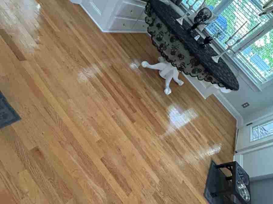 Amezquita Cleaning Llc