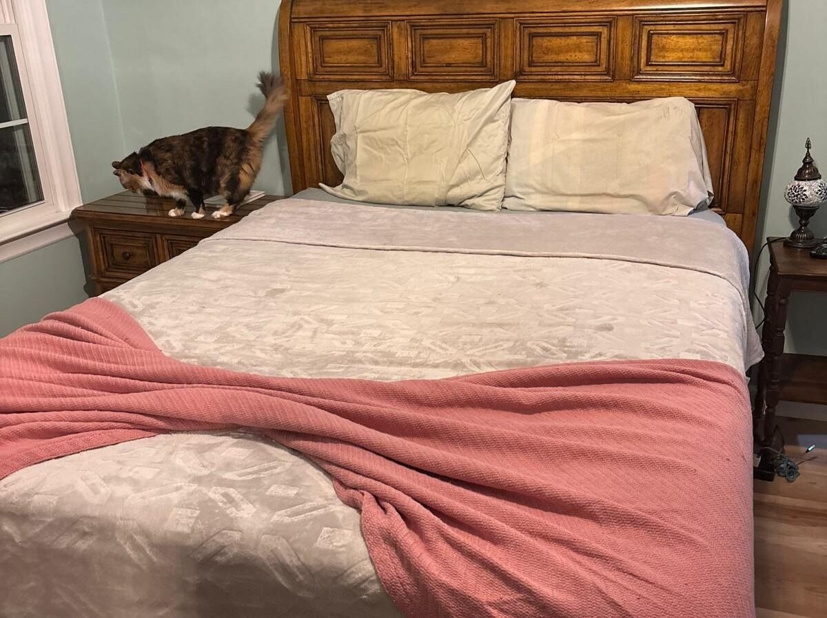 Amezquita Cleaning Llc