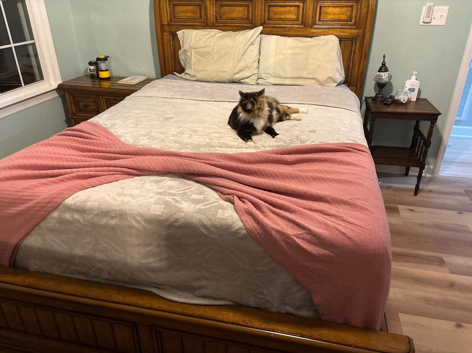 Amezquita Cleaning Llc