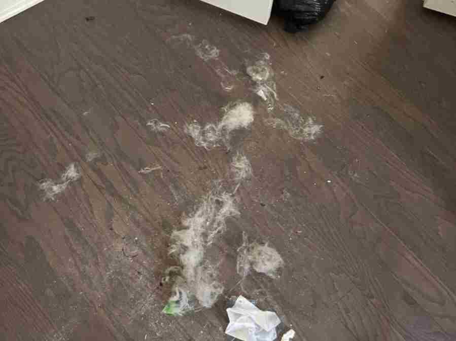 Amezquita Cleaning Llc