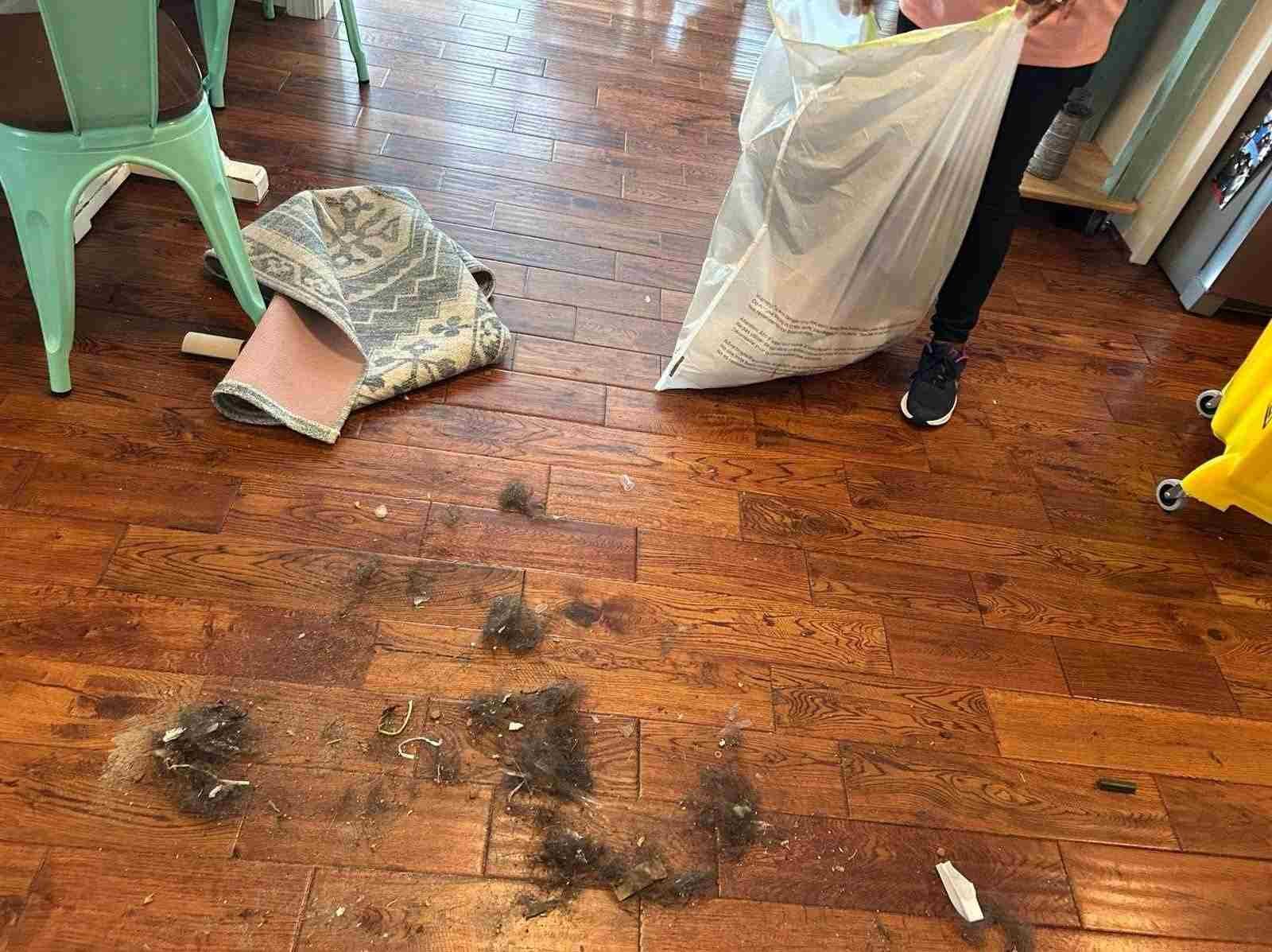 Amezquita Cleaning Llc