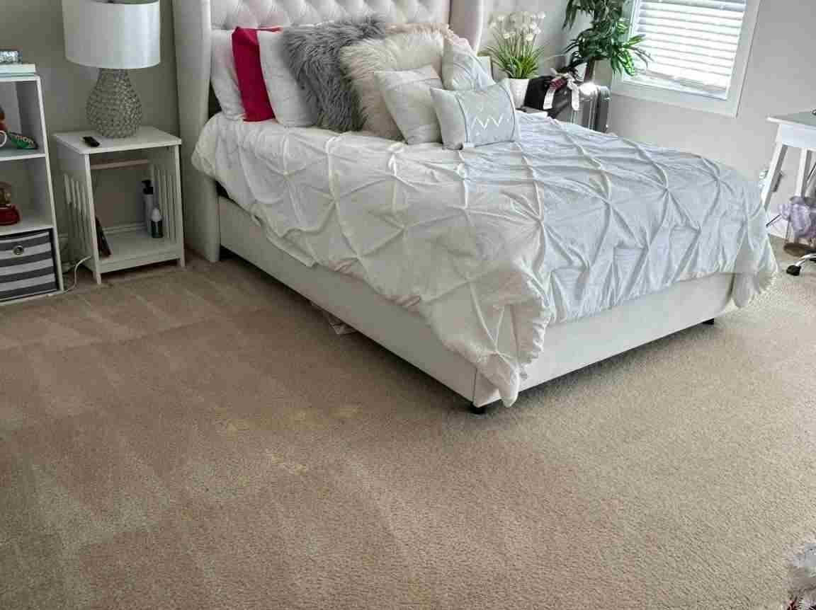 Amezquita Cleaning Llc