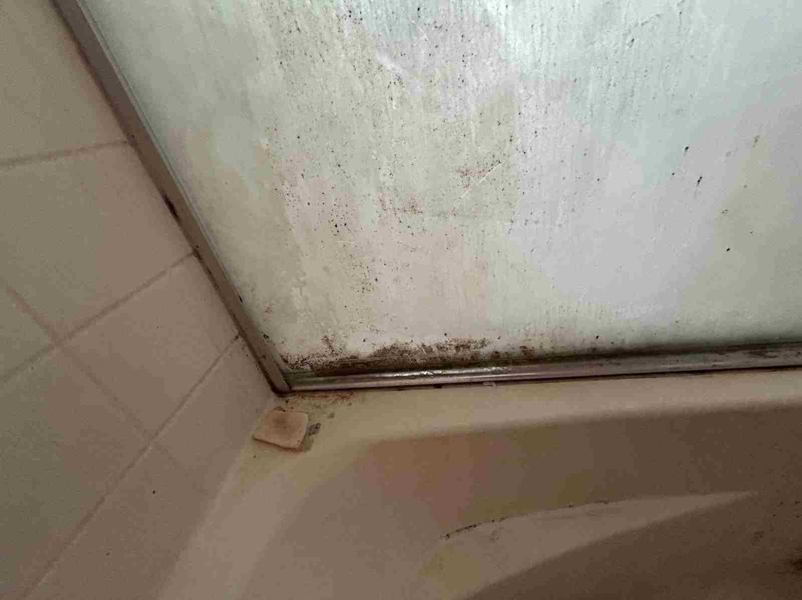 Amezquita Cleaning Llc