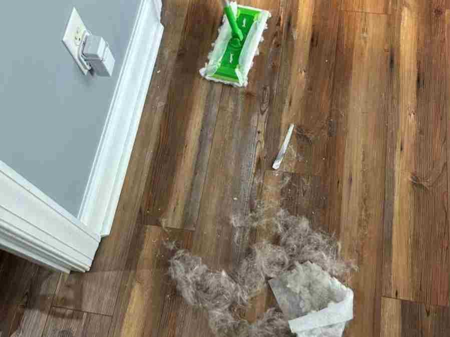 Amezquita Cleaning Llc