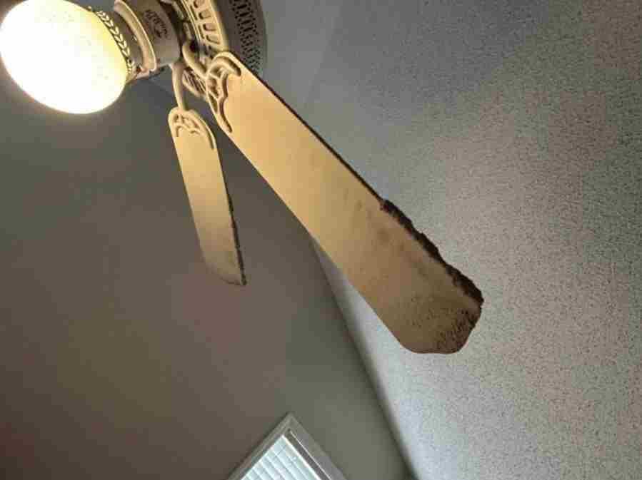 Amezquita Cleaning Llc